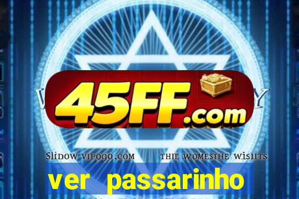 ver passarinho morto significado espiritual